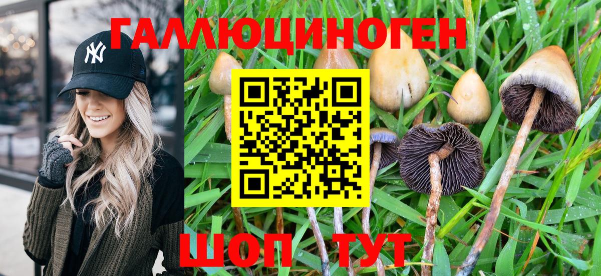 Галлюциногенные грибы Magic Shrooms  Вход с VPN  Старая Купавна 