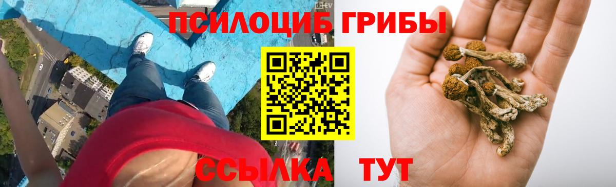 Галлюциногенные грибы мухоморы Старая Купавна